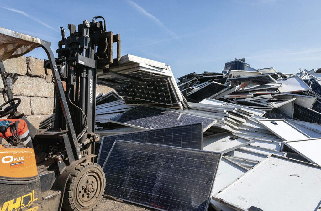 Rafiqui, la primera recicladora de paneles solares, estará en Jalisco